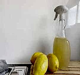 Ekolojik Ürünler ve Ekolojik Temizlik