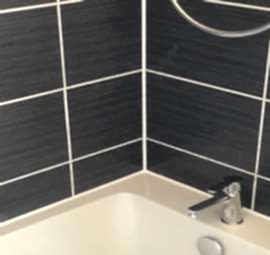 Mastik Mi Silikon Mu?