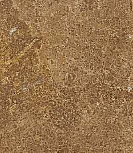 Noce Travertine