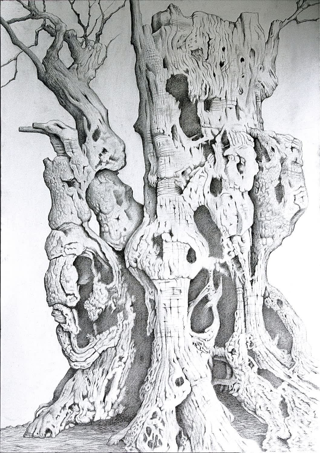 Tual üzerine karakalem